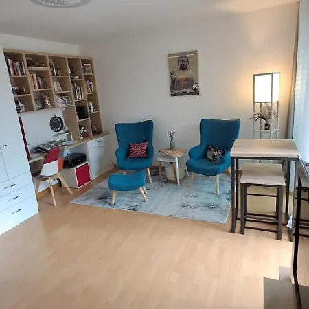 Charming T1 With Balcony In Apartment